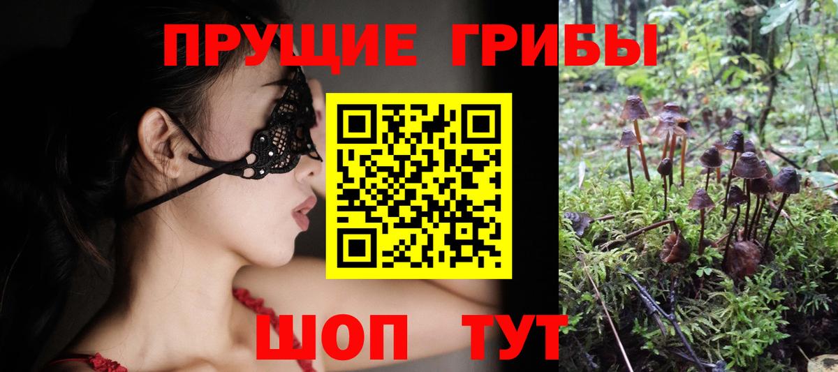 Галлюциногенные грибы MAGIC MUSHROOMS Симферополь